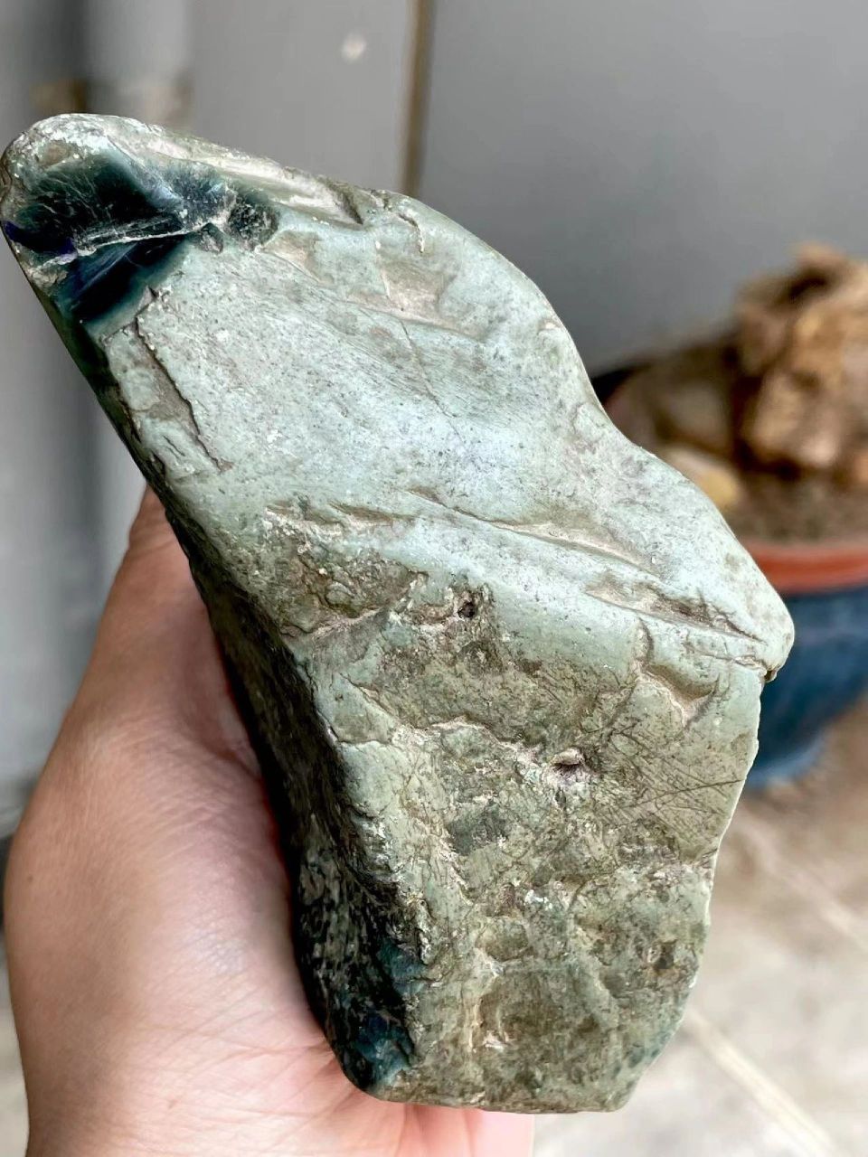 翡翠原石# #点击头像看直播# 瞒皮老后江,645克,切口墨翠,底子干净