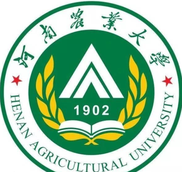 郑州西大学城有哪些学校?