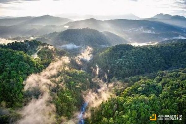 为拯救亚马逊雨林  环保NFT不到一个小时竟被抢购一空