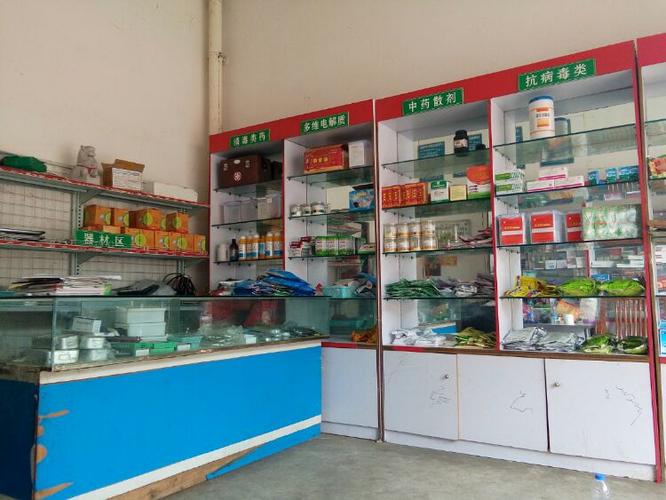 农村开啥店赚钱(农村开什么店挣钱)