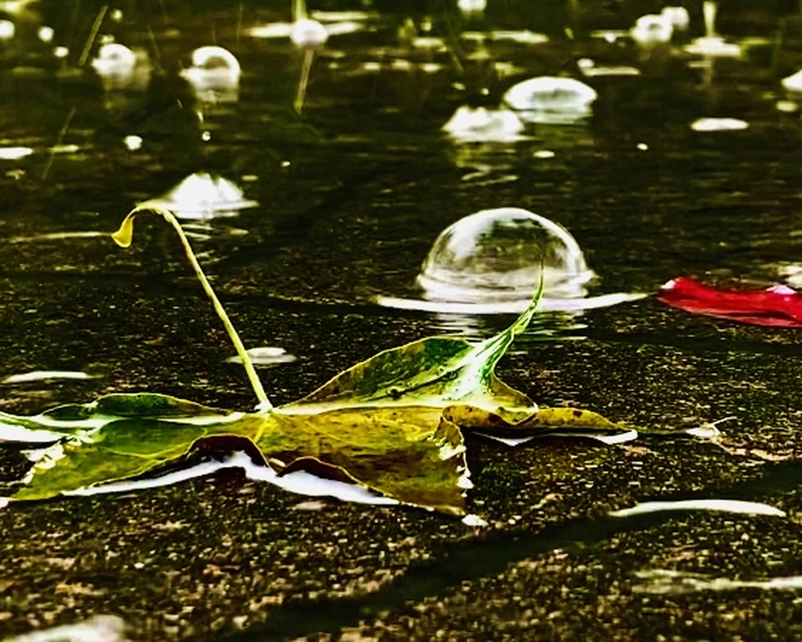 少年聽雨歌樓上,紅燭昏羅帳. 壯年聽雨客舟中,江闊雲低,斷雁叫西風.