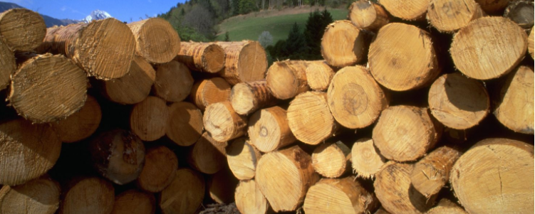 湿木头怎样快速干而不开裂