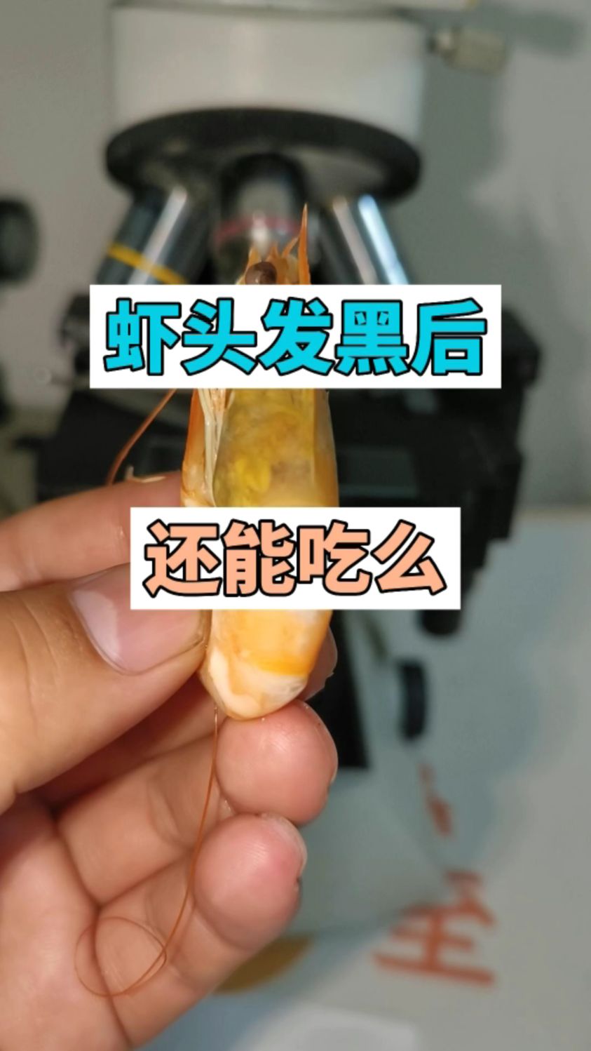 虾头发黑后还能吃么?