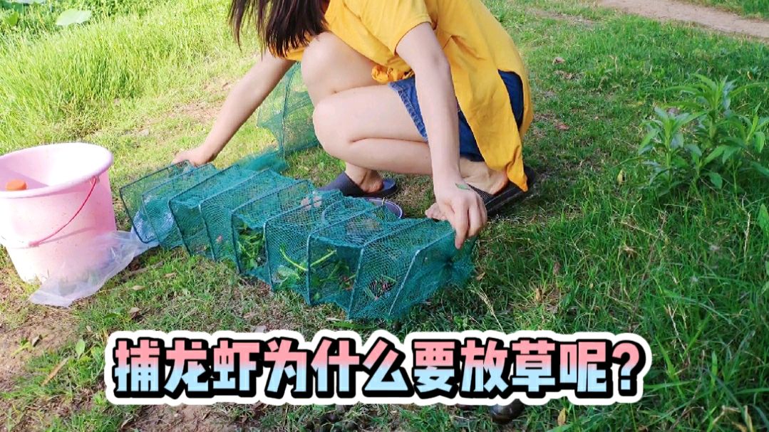 农村小夫妻比赛捕龙虾一个地笼一个捕虾神器,看谁捕到小龙虾多?