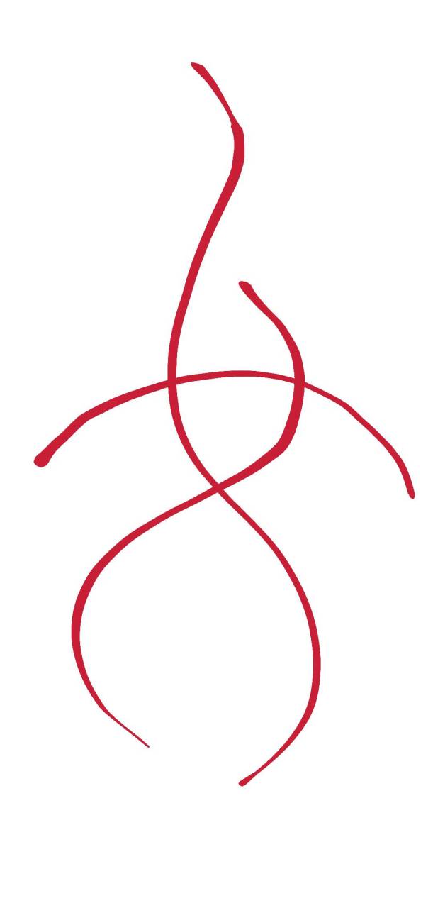 我在多大平台上看到了诸多美好曲线,终于悟出了女字的写法,供大家欣赏