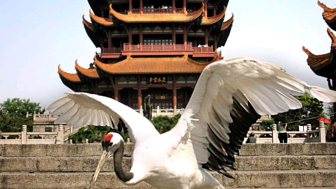 湖北必去的八大景区旅游攻略