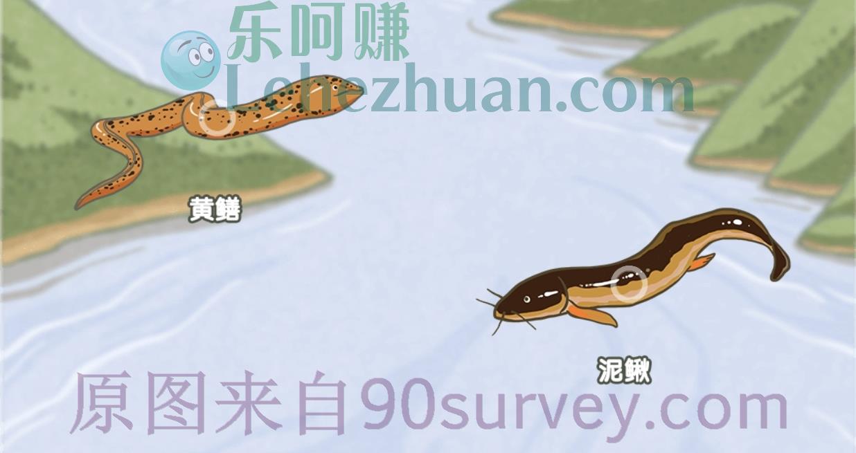 一开始是雌性,长着长着会变成雄性的鱼是?答案:黄鳝 一开始是雌性,长着长着会变成雄性的鱼是?答案:黄鳝