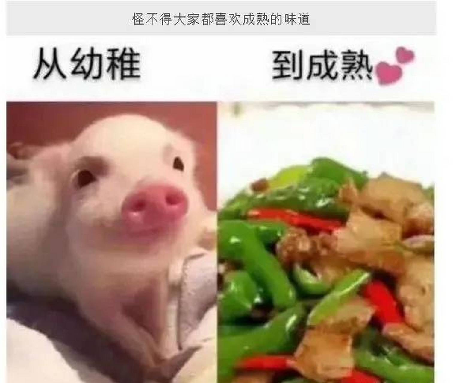 人啊,总要成熟的