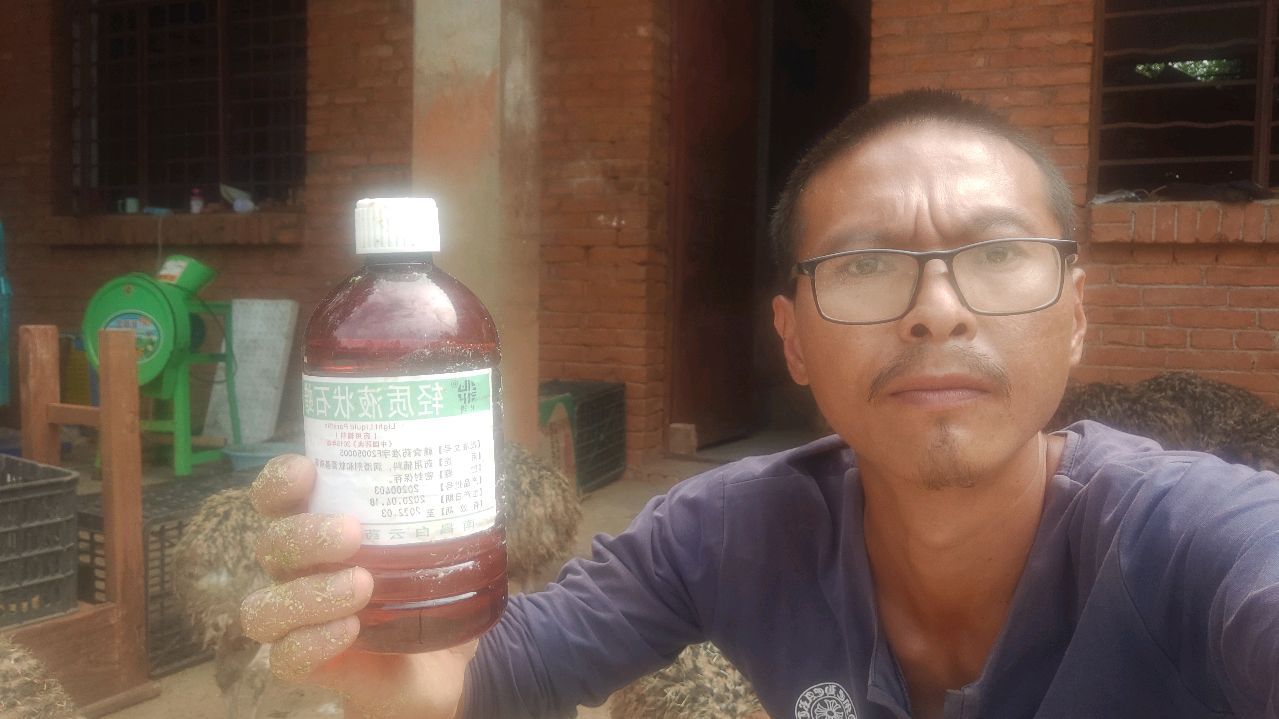 鸵鸟胃积沙如何处理?有人推荐用石蜡油,看看如何操作