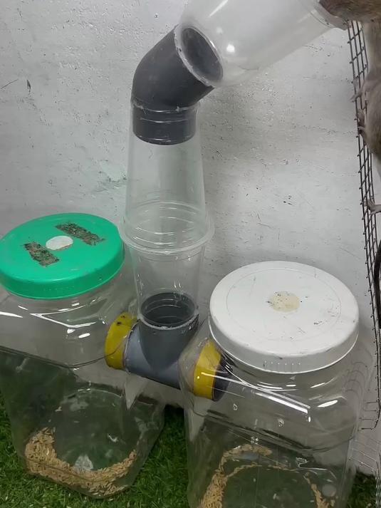 利用两个空塑料罐制作成的简易捕鼠器,老鼠能抓特多!