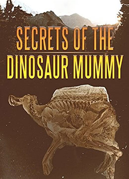 恐龙化石的秘密