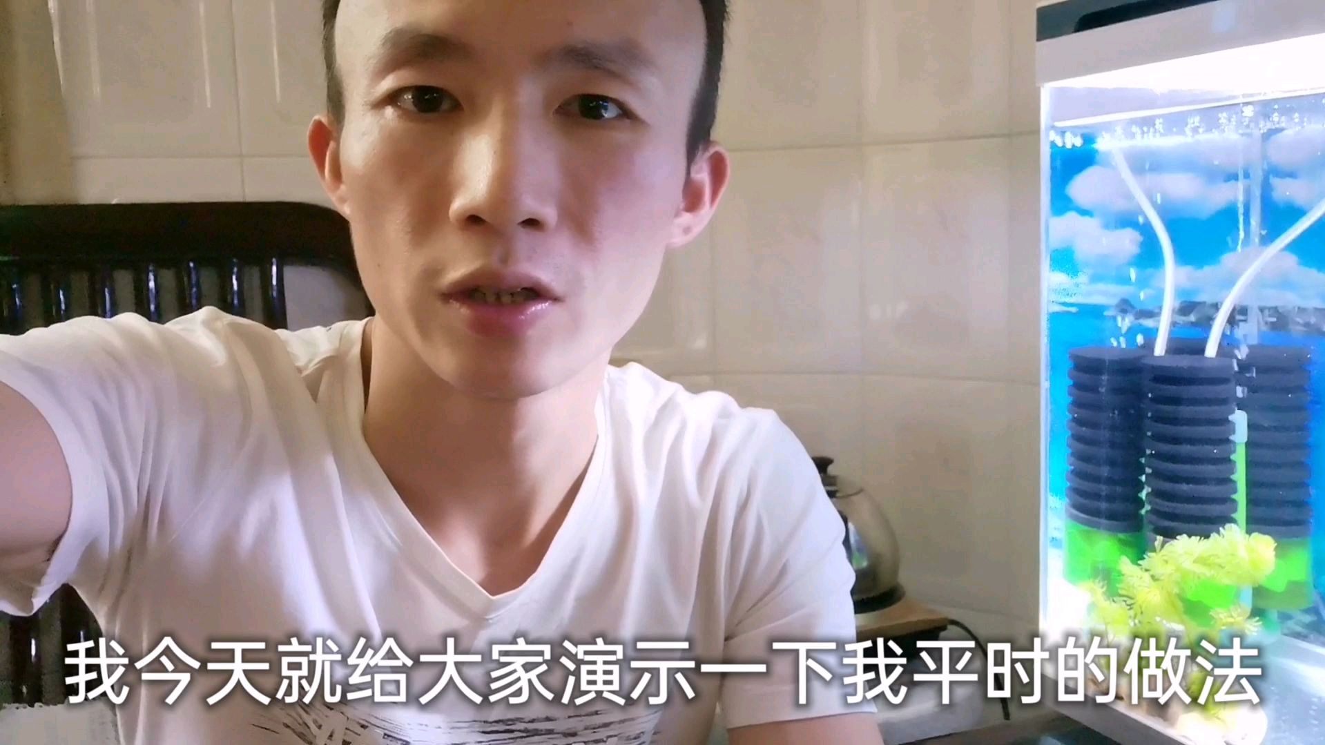 迷你鹦鹉鱼亲鱼和它们的孩子不分开的话,怎样投喂才能照顾周全