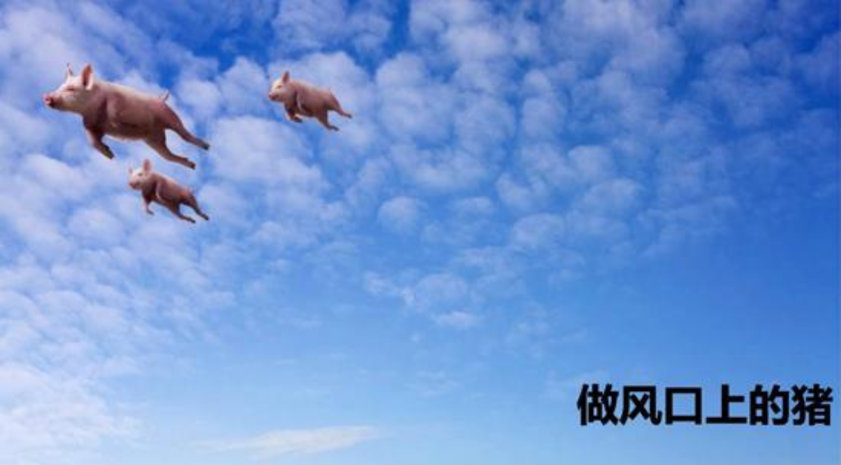 要起飞的越南,未来风口在这里吗?