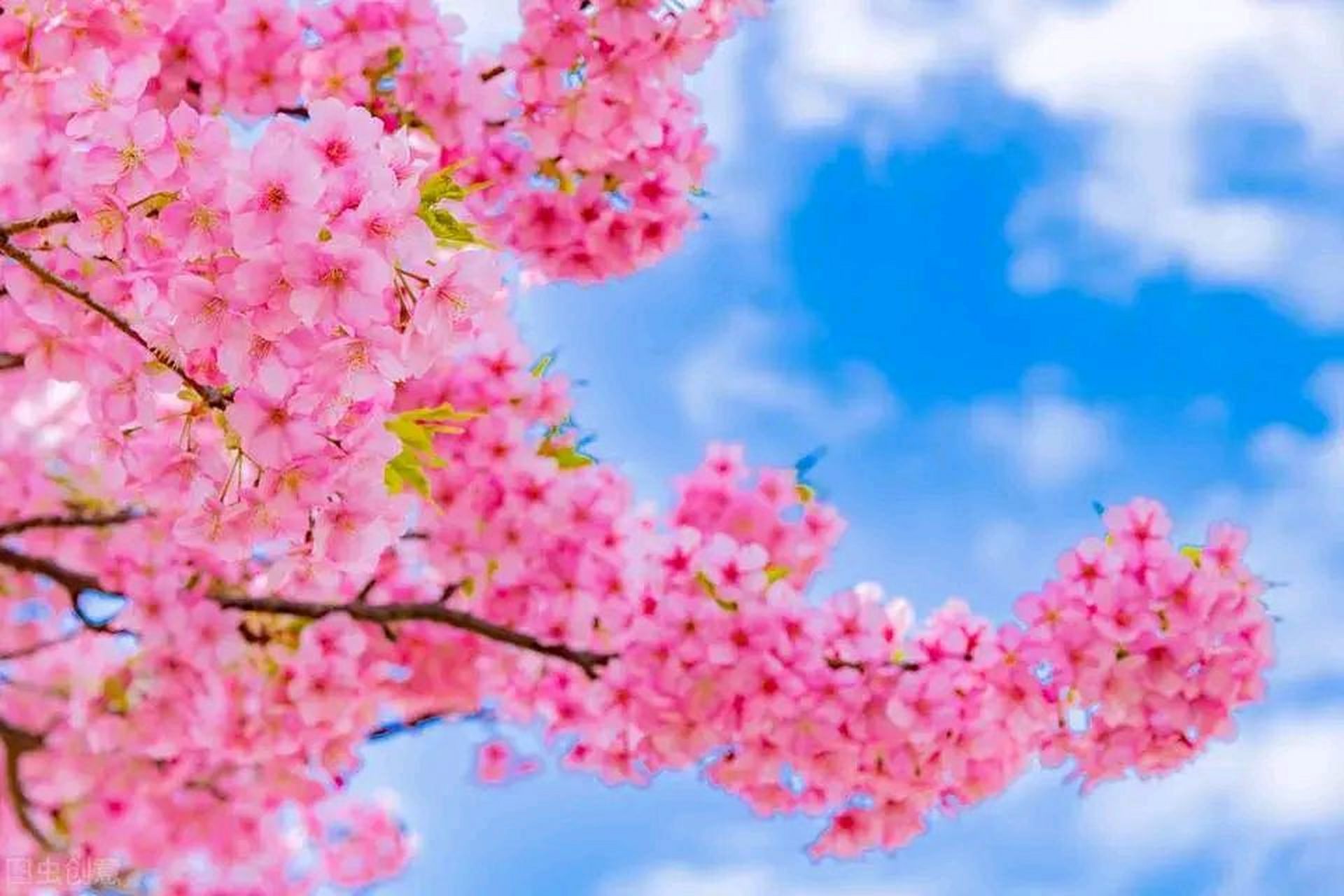 月薪五千,敢迷恋少妇 2.房贷大于50万,房贷大于4000 3.