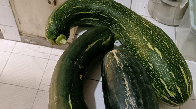 ,是我的远房亲戚送来的. 他每年都送