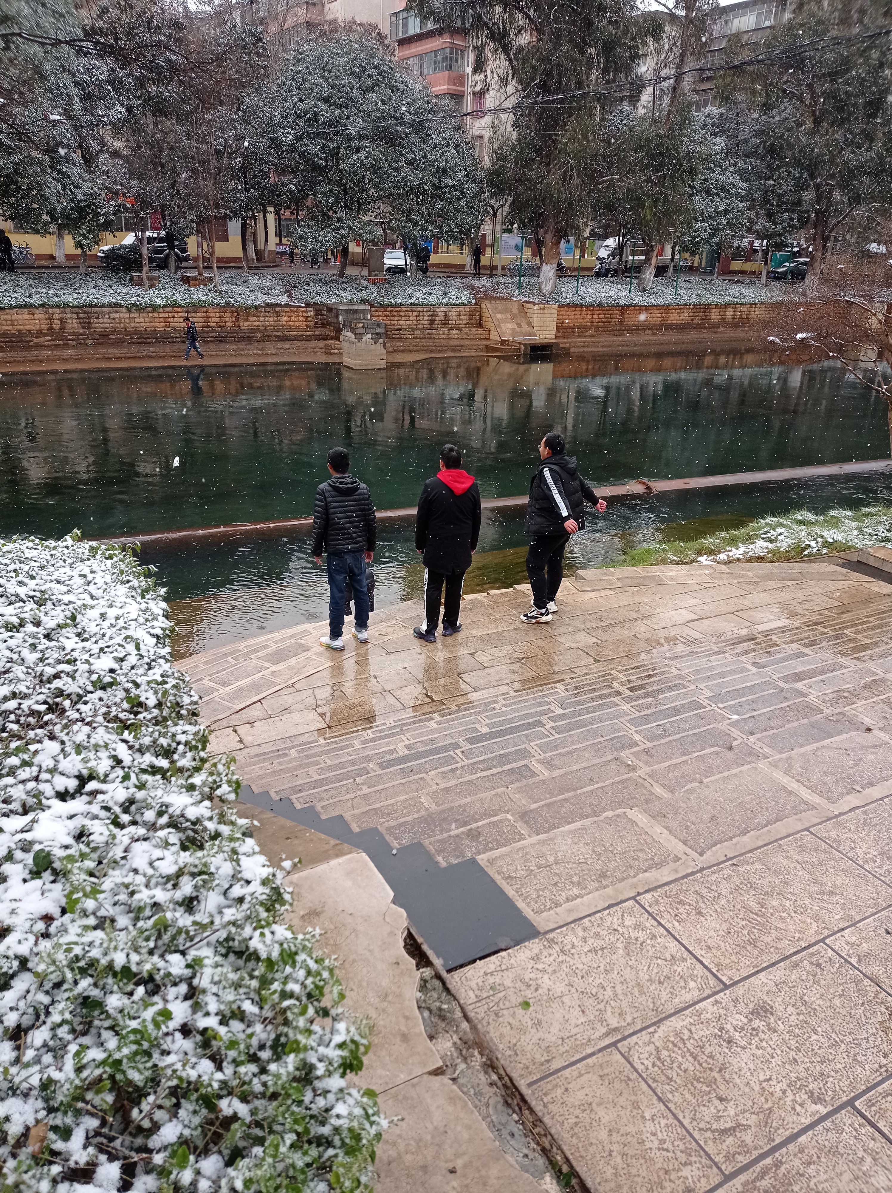 昆明下雪啦雪景美如画少见多怪的昆明人疯狂了