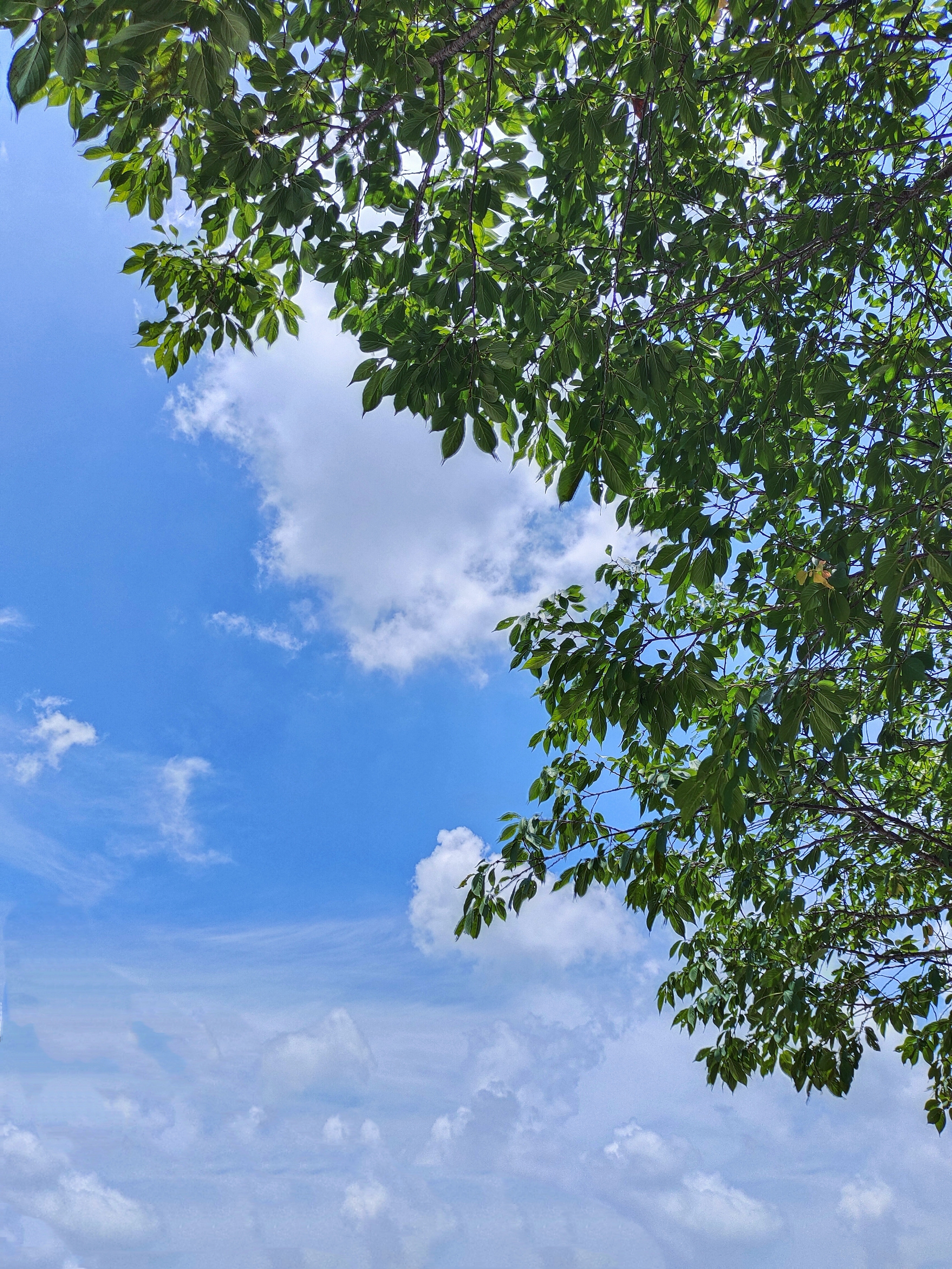 夏天的湛蓝天空