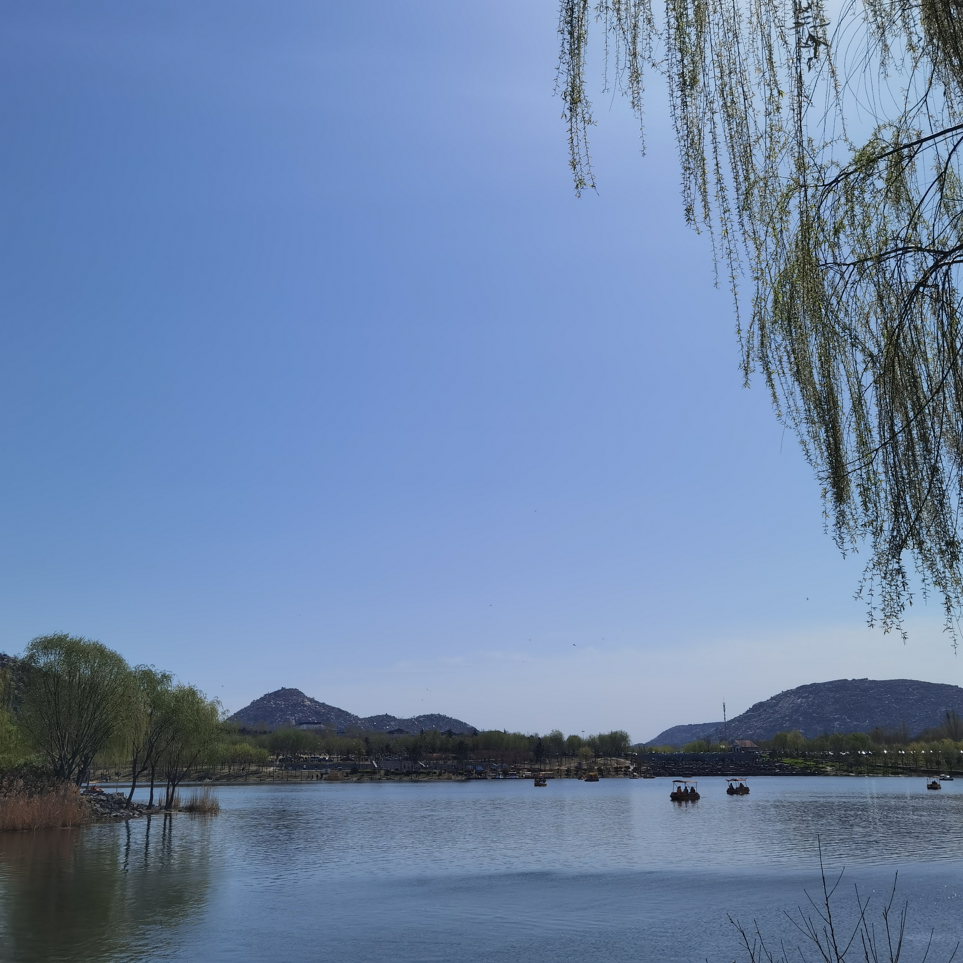 邹城春天里的唐王湖美景