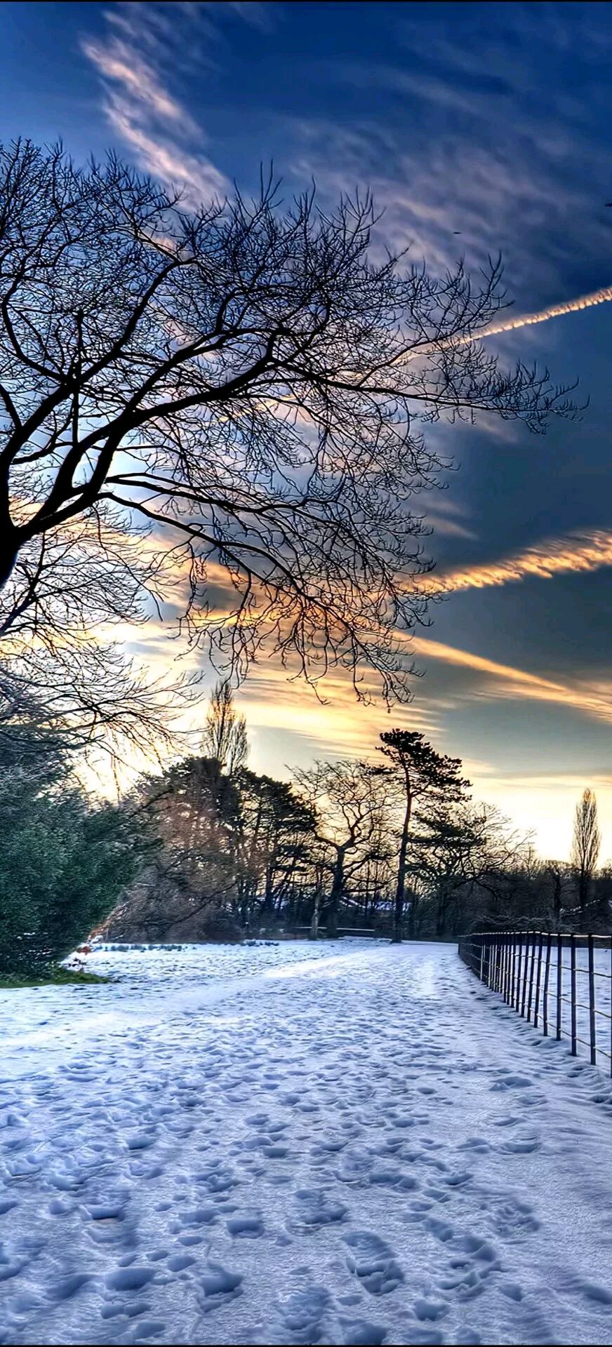 雪花美丽景色