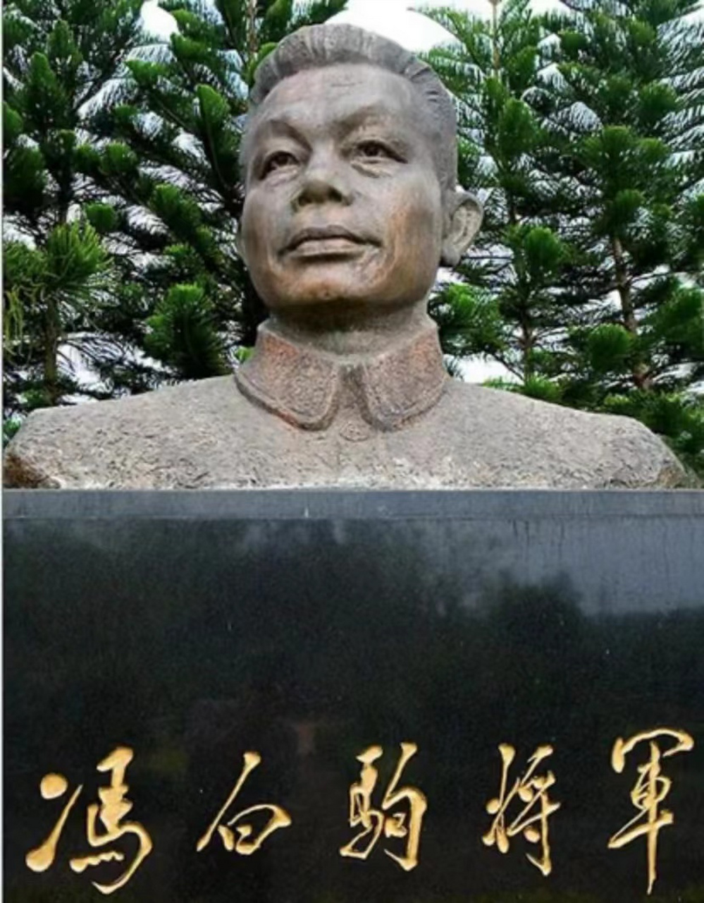 在解放海南岛的作战中,能取得海岛的胜利离不开冯白驹的鼎力配合.