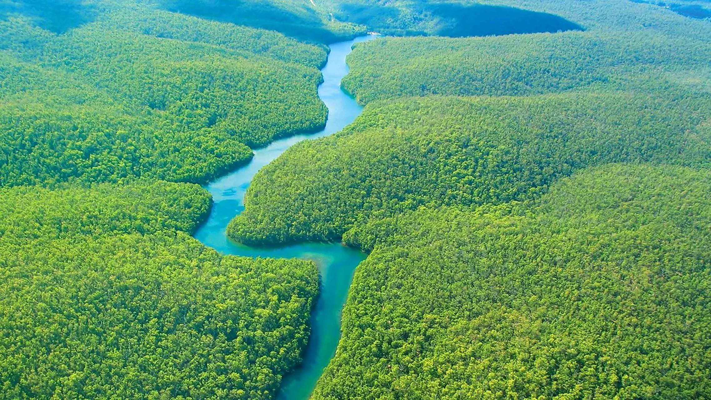 巴西热带雨林破坏的原因  亚马孙热带雨林是世界上最大的热带雨林