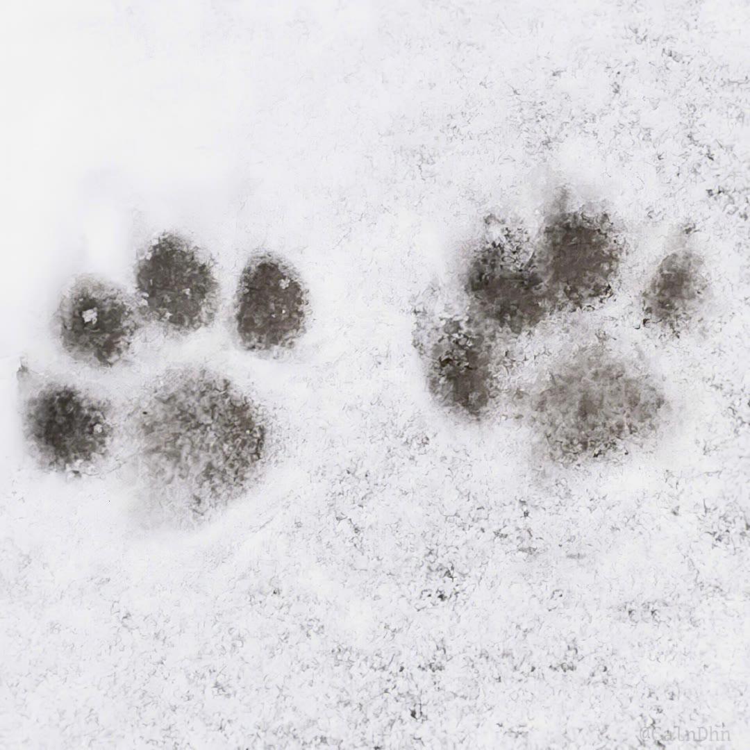 微博怎么发图片没有水印