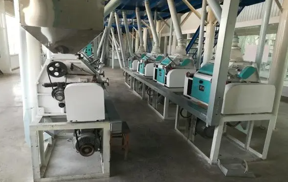 如何选择面粉加工厂设备的筛网?具体从哪些方面入手呢?