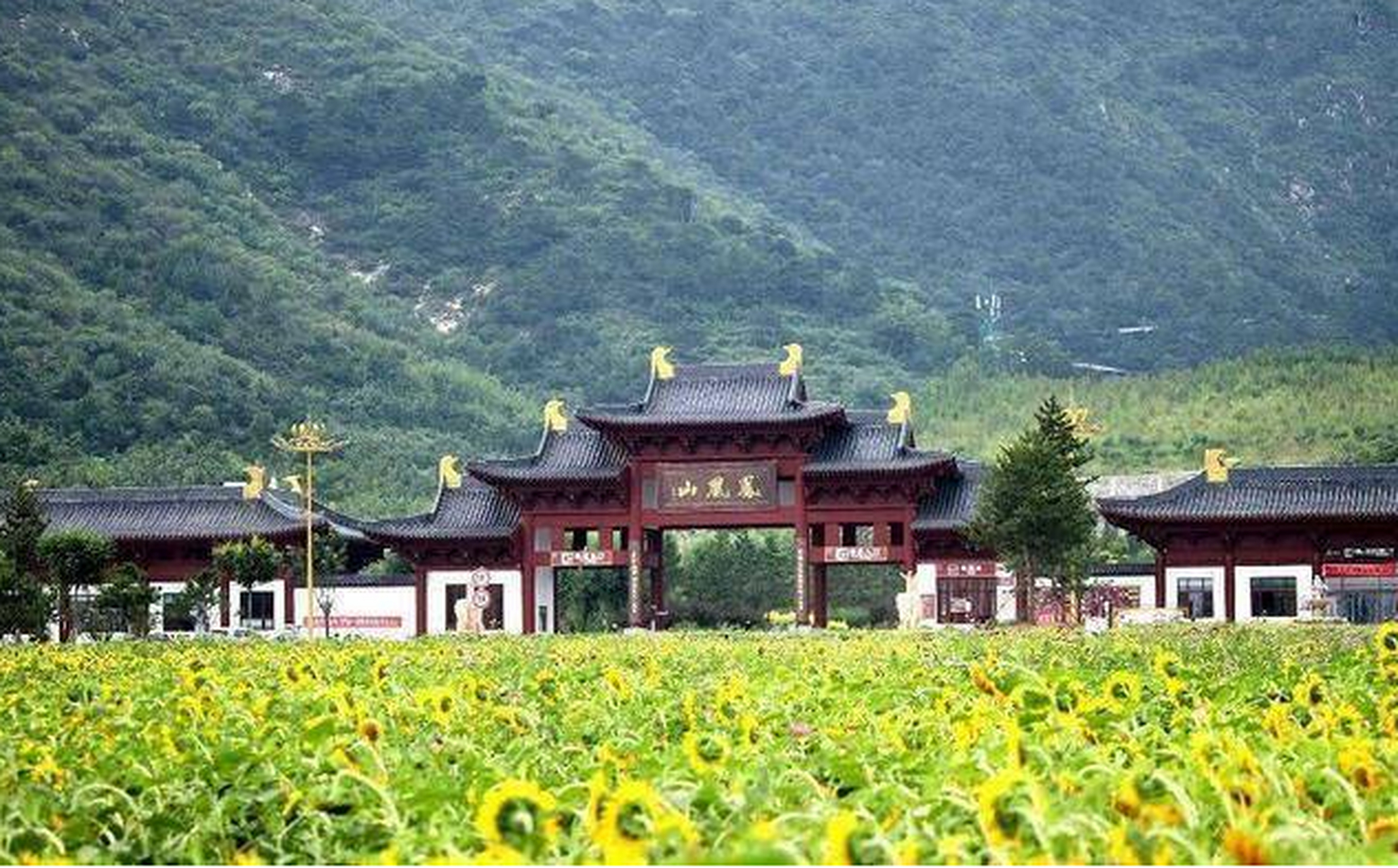 迁西凤凰山是河北唐山市迁西县境内的一座小众景区,因外形酷似一只