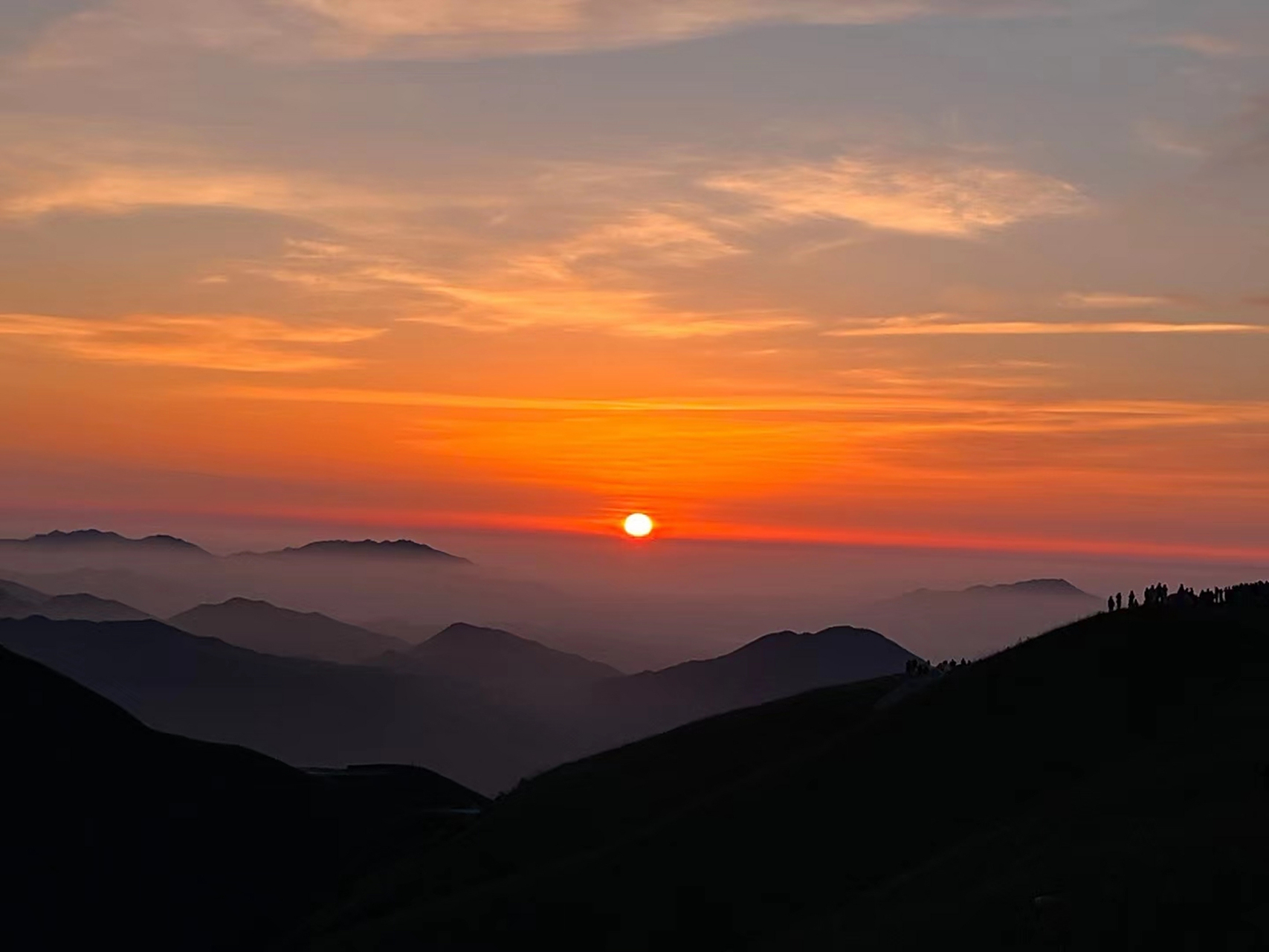 晨光熹微初现曙光, 枫叶丹红落满地, 露珠晶莹滴满枝.