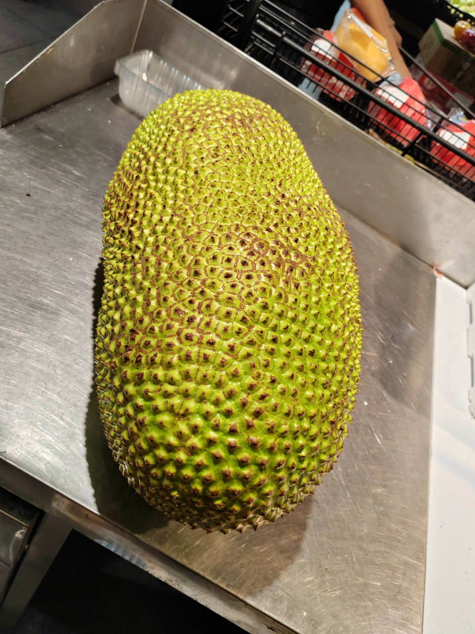 分享图片:菠萝蜜与榴莲是近亲吗?好家伙,都是满身带刺[嘻嘻]