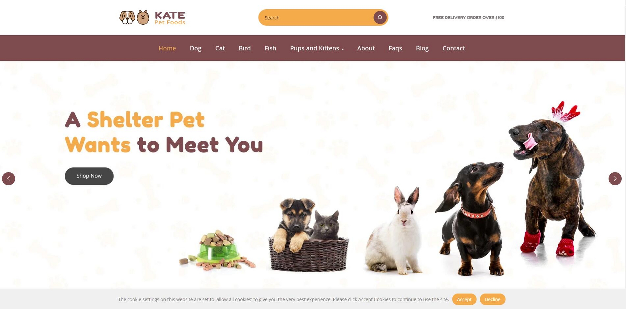 宠物网站建设策划方案_(宠物网站建设策划方案模板)