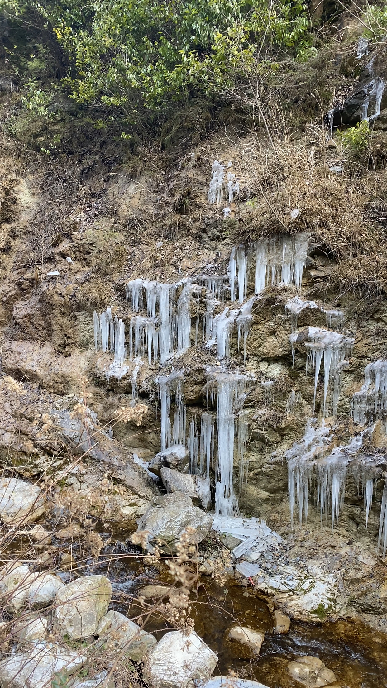 好多年不见这样的冰凌子了小时候的冬天比现在冷多了整个冬天屋檐下都