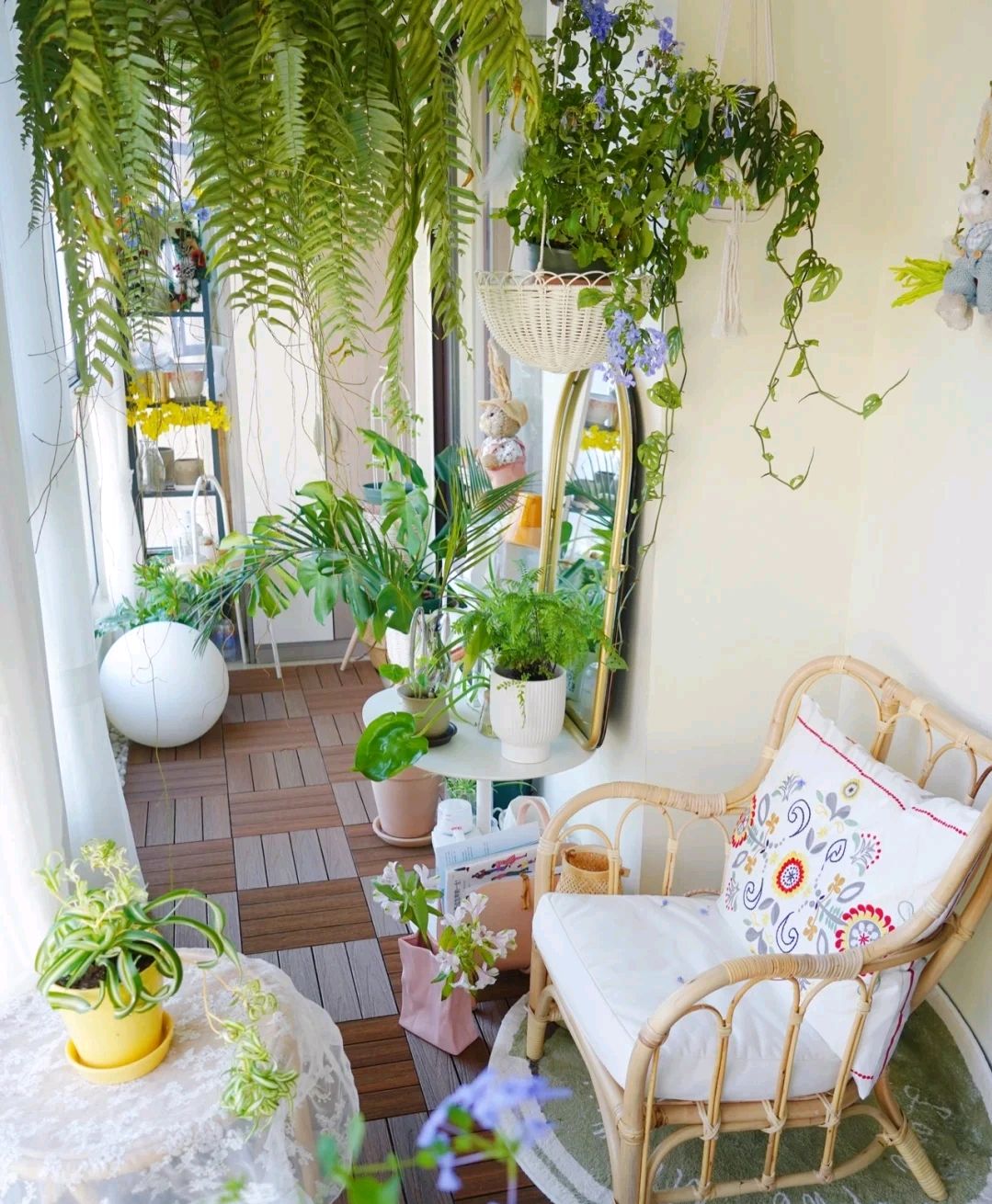 看过40岁姐姐的阳台花园,心情都被"治愈"了,拍给大家瞧瞧