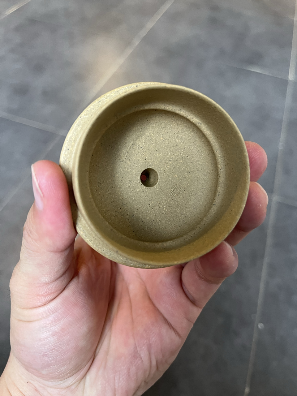 德钟 正宗原矿本山绿泥02丨220cc 全手工制作 丨储俊伟 癸卯秋新作