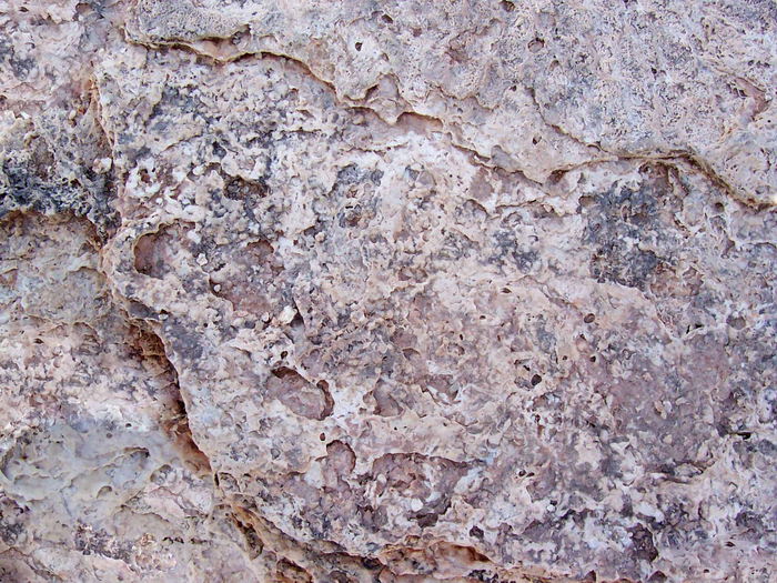 石头ID18141
