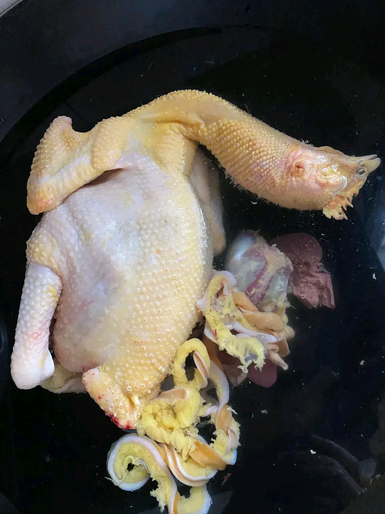 二舅妈给我家里送的正宗土鸡煮熟以后发现鸡肉根本没法吃不仅炖了一