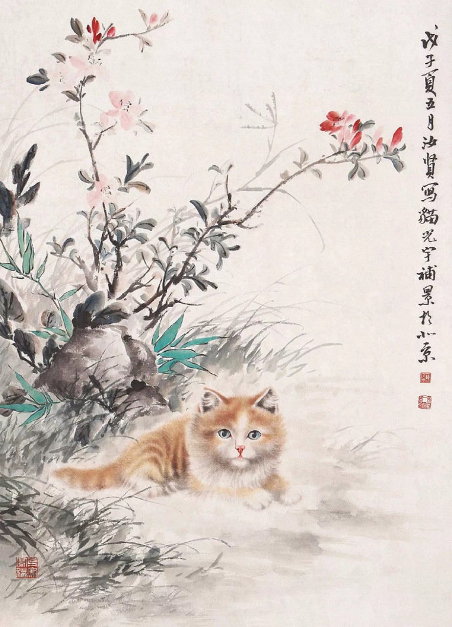 雪猫作品集猫的鱼图片