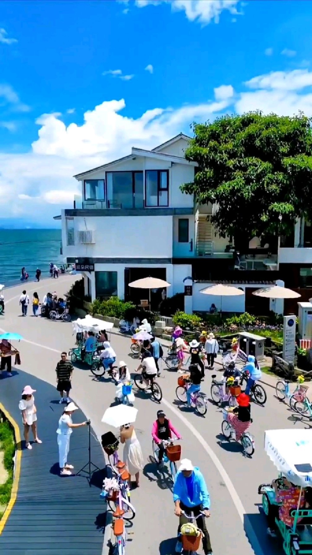 有一种生活叫大理alifecalleddali,网红s湾,大理洱海风景太美了