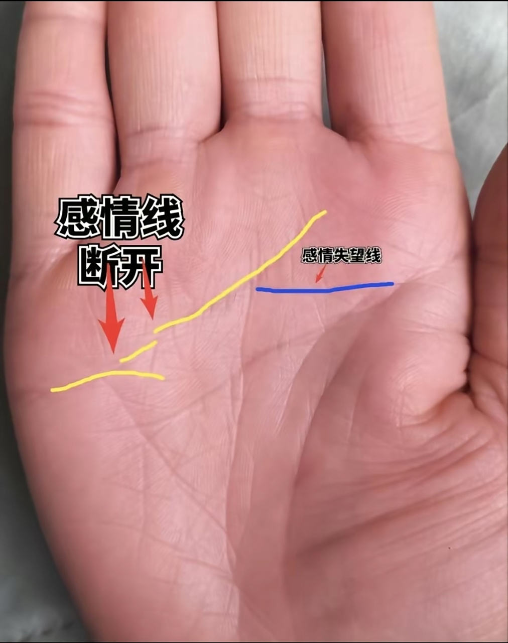 感情线断开的人就一定会离婚吗?  不一定.感情线断了,代表感情有波折.