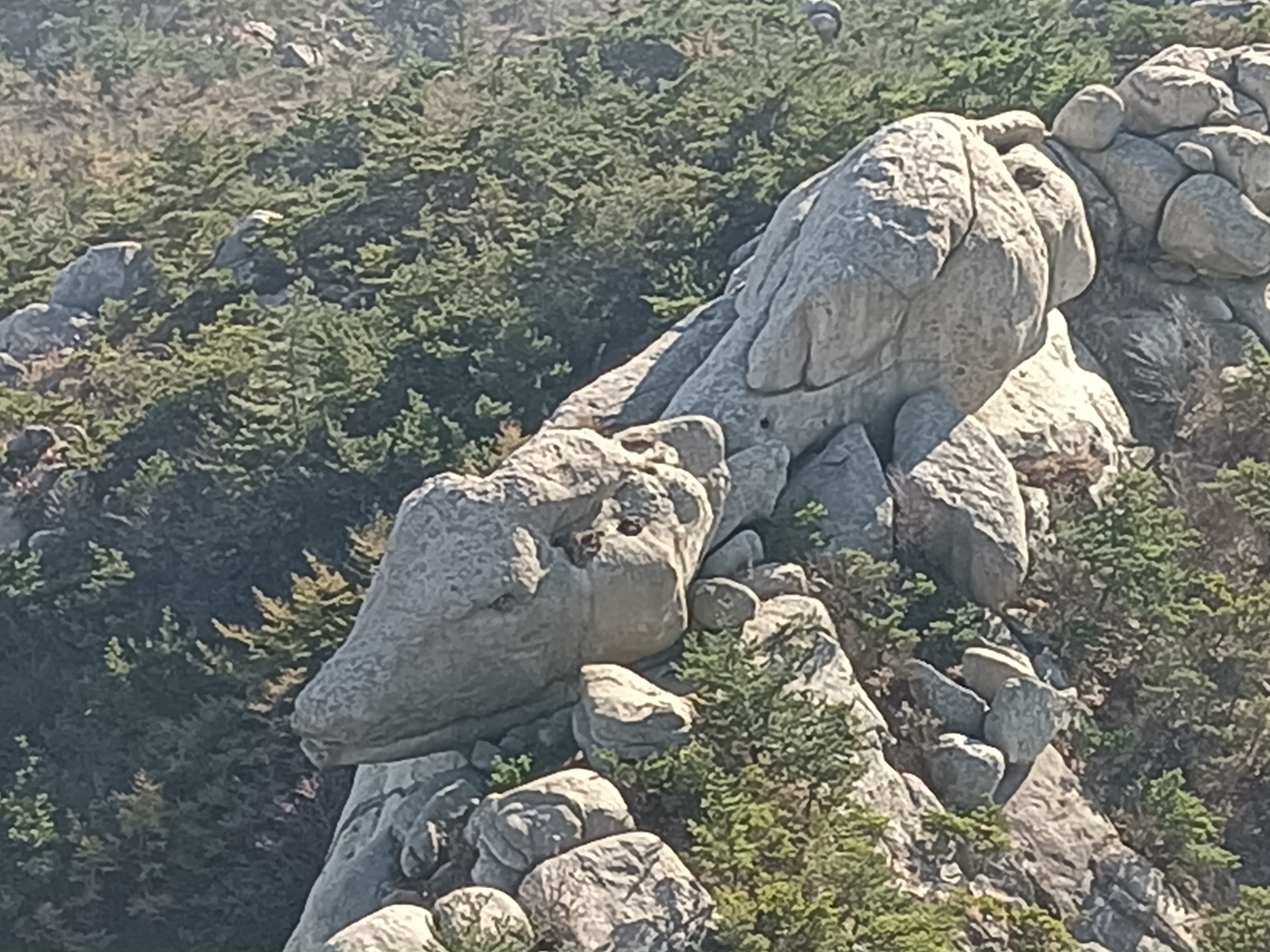 山海奇观石头图片