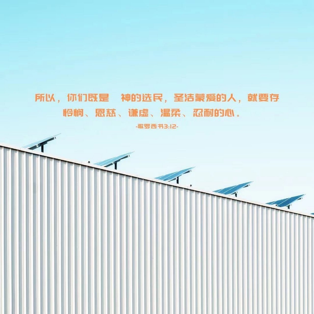 [cp]歌罗西书 3章12节 [微风][微风][微风]