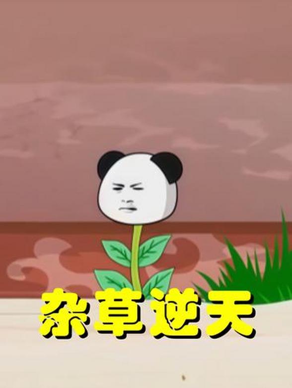 杂草逆天封面图