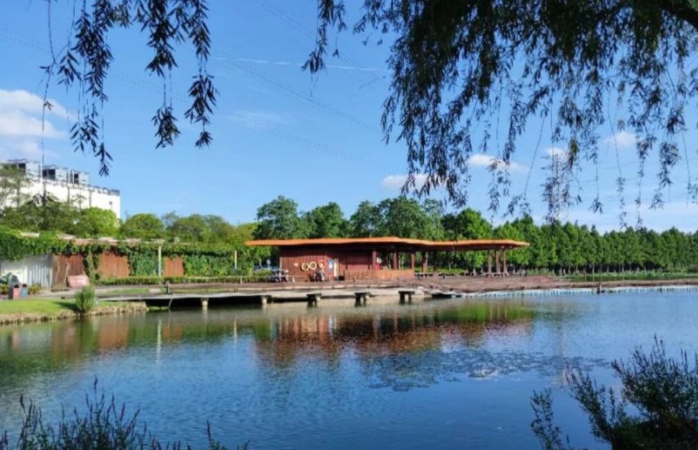 江苏花桥生态湿地净水公园令人陶醉其中