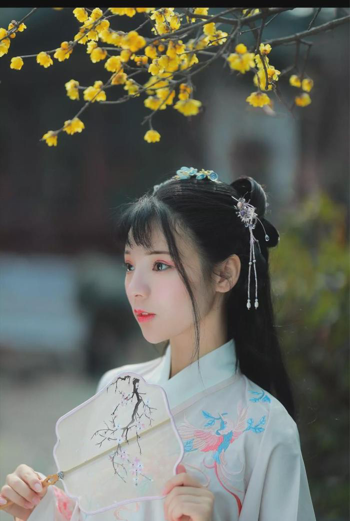 寻梅jk汉服:冷暮辰_——「寻梅」折枝腊梅只见离别不见回