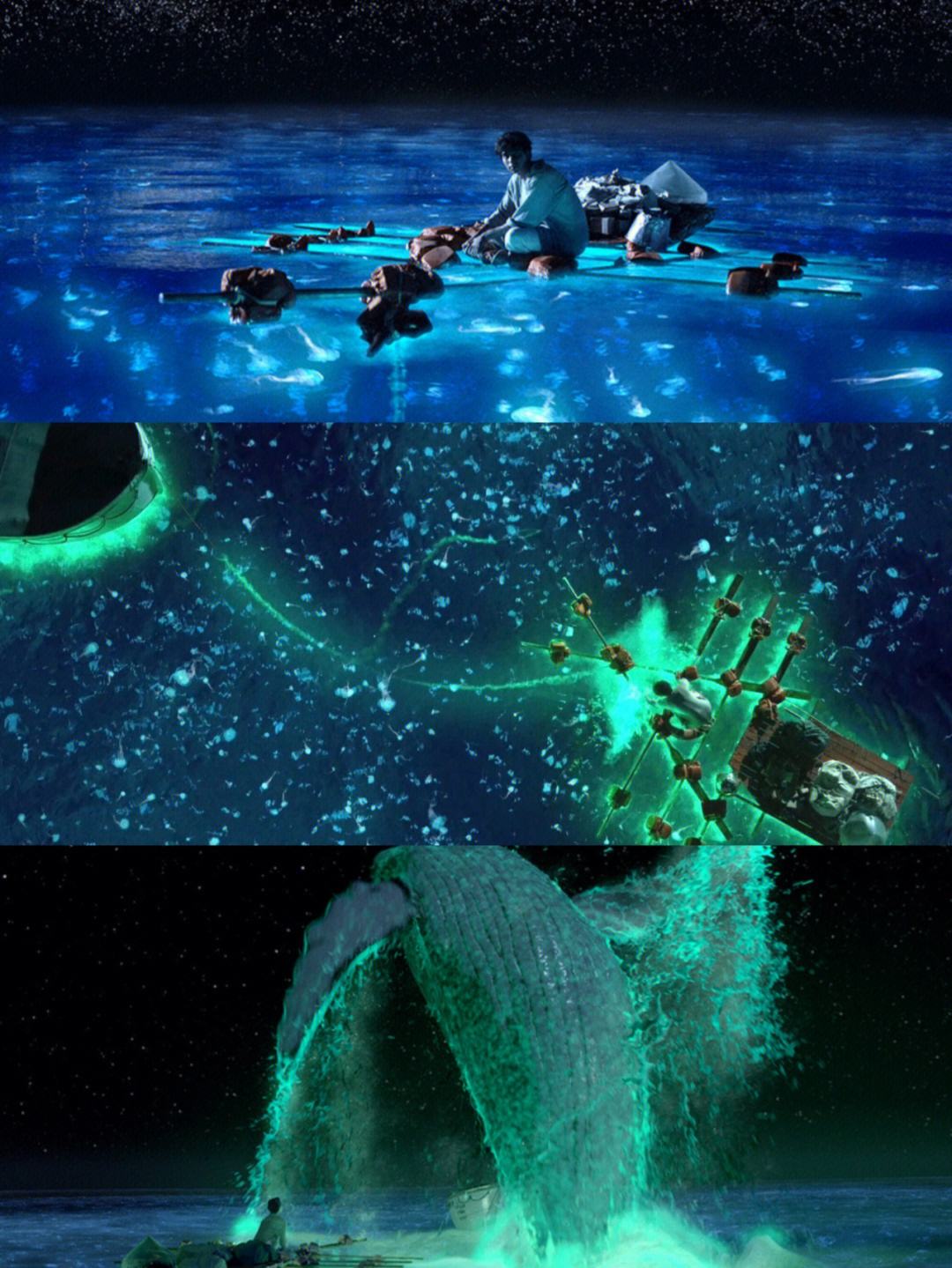 《少年派的奇幻漂流》少年与虎为伴,横跨整个太平洋