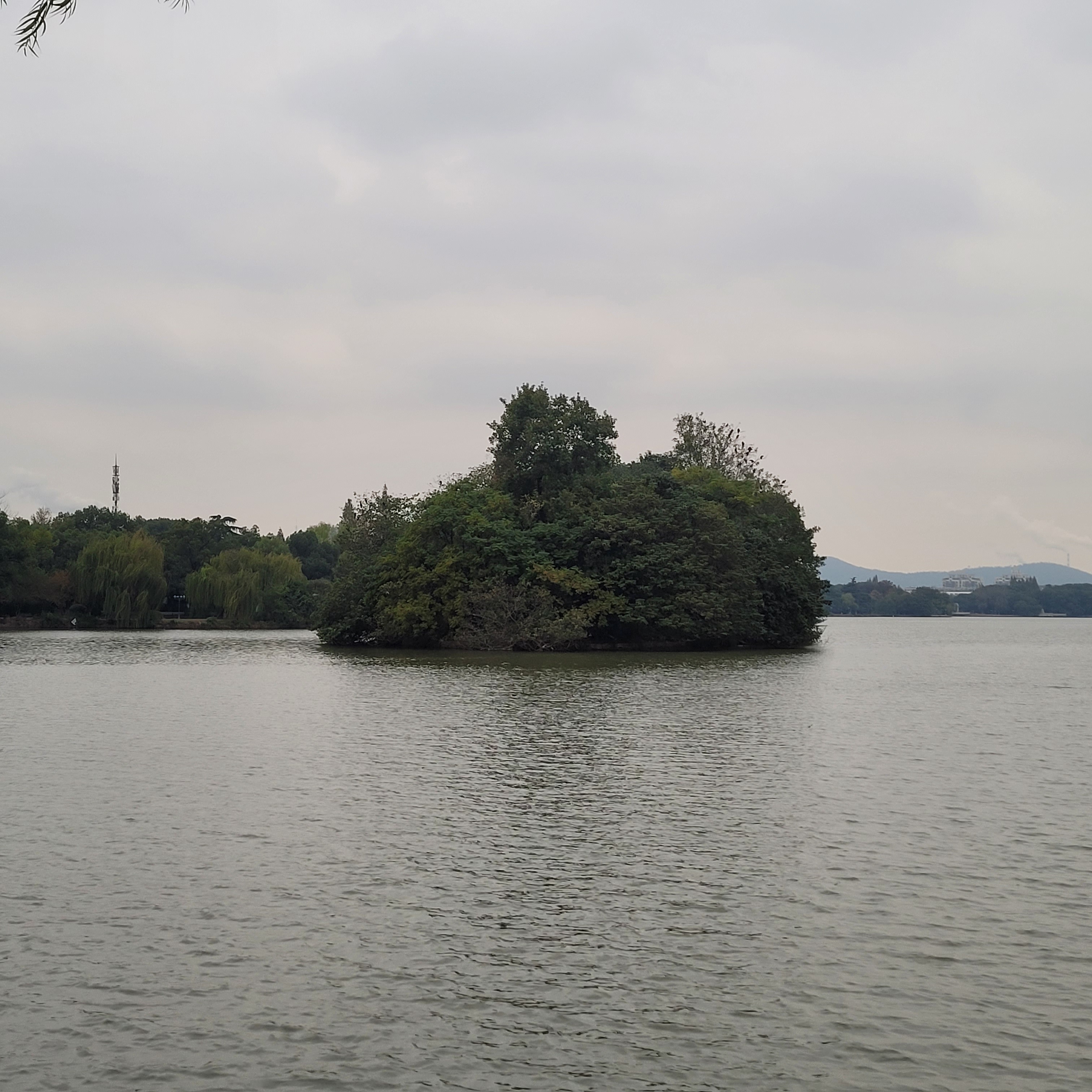 雨山湖图片