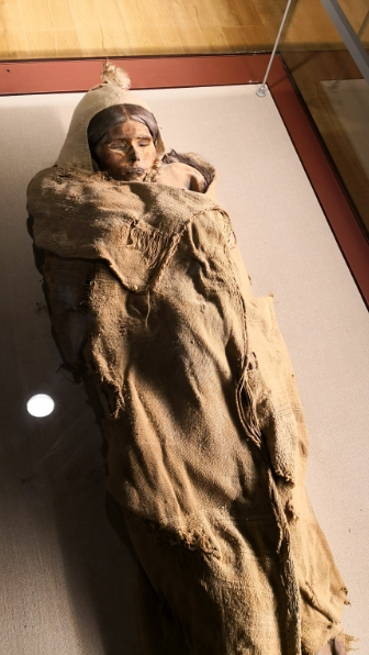 楼兰美女与木乃伊皇帝