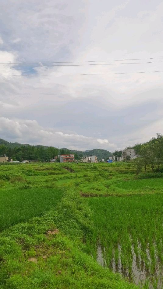 广东河源的农村感觉一点都不富裕不过环境确实好