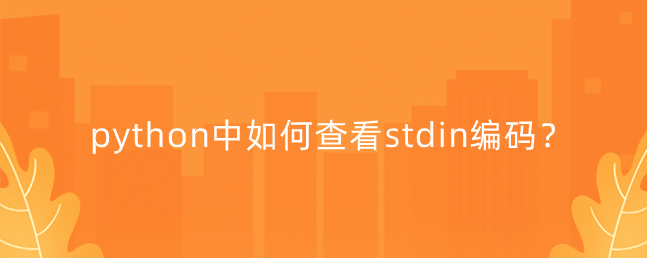 如何在python中查看stdin编码？