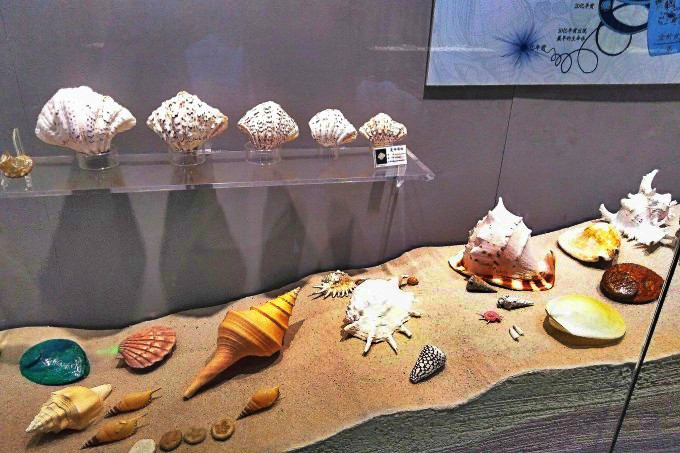 蛇口海洋博物馆